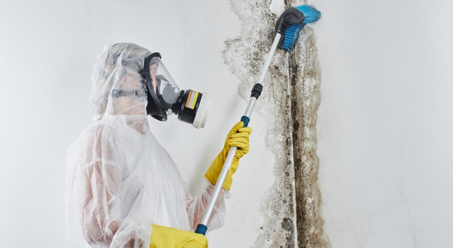 Technician wearing a full protective suit, gloves, and respirator mask scrubbing mold from an interior wall with a long-handled brush, demonstrating professional mold remediation and cleanup.