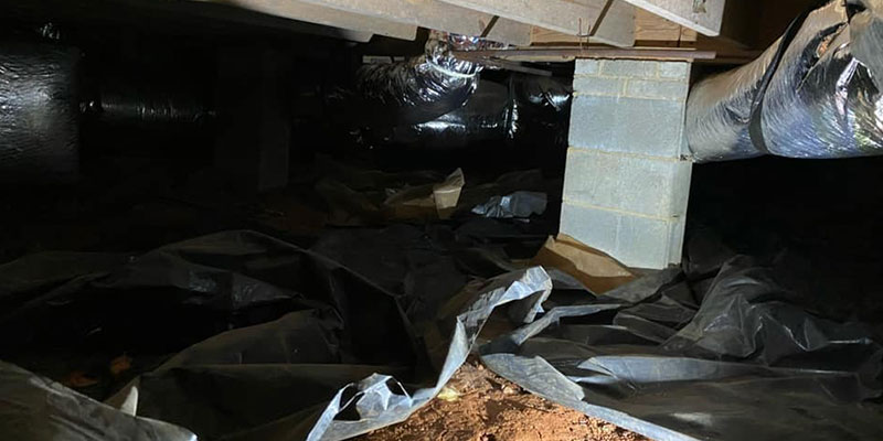 Schedule a Free Inspection for Basement Waterproofing!
